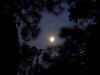 moon7.jpg (187552 bytes)