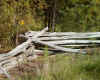 rail fence again.jpg (187410 bytes)