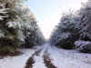 snow5.jpg (399676 bytes)